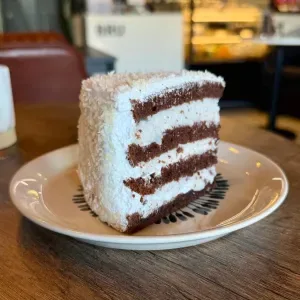 Coconut Chocolate Cake